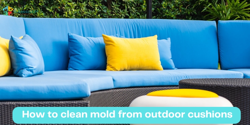 Cleaning Mold from Outdoor Cushions