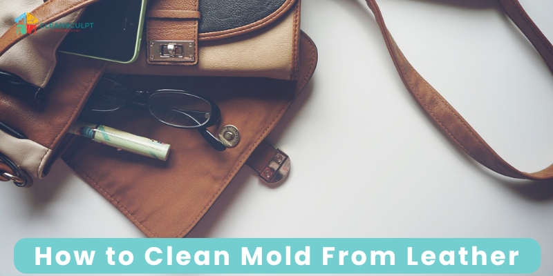  how to wash Mold from Leather