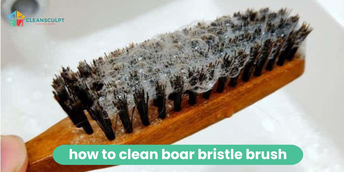 Clean a Boar Bristle Brush